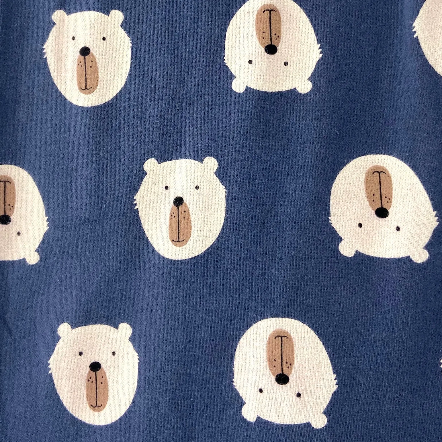 BEAR PANTS