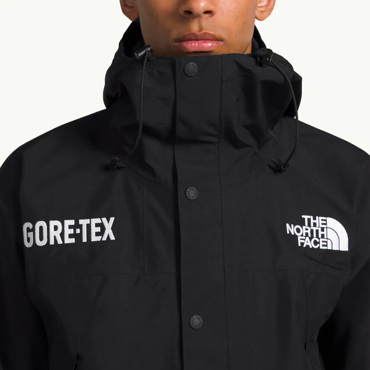 Mens Gore-Tex Mountain Jacket - The North Face in TNF Black - Waterproof, Breatherable, and Lightweight for Outdoor Adventures