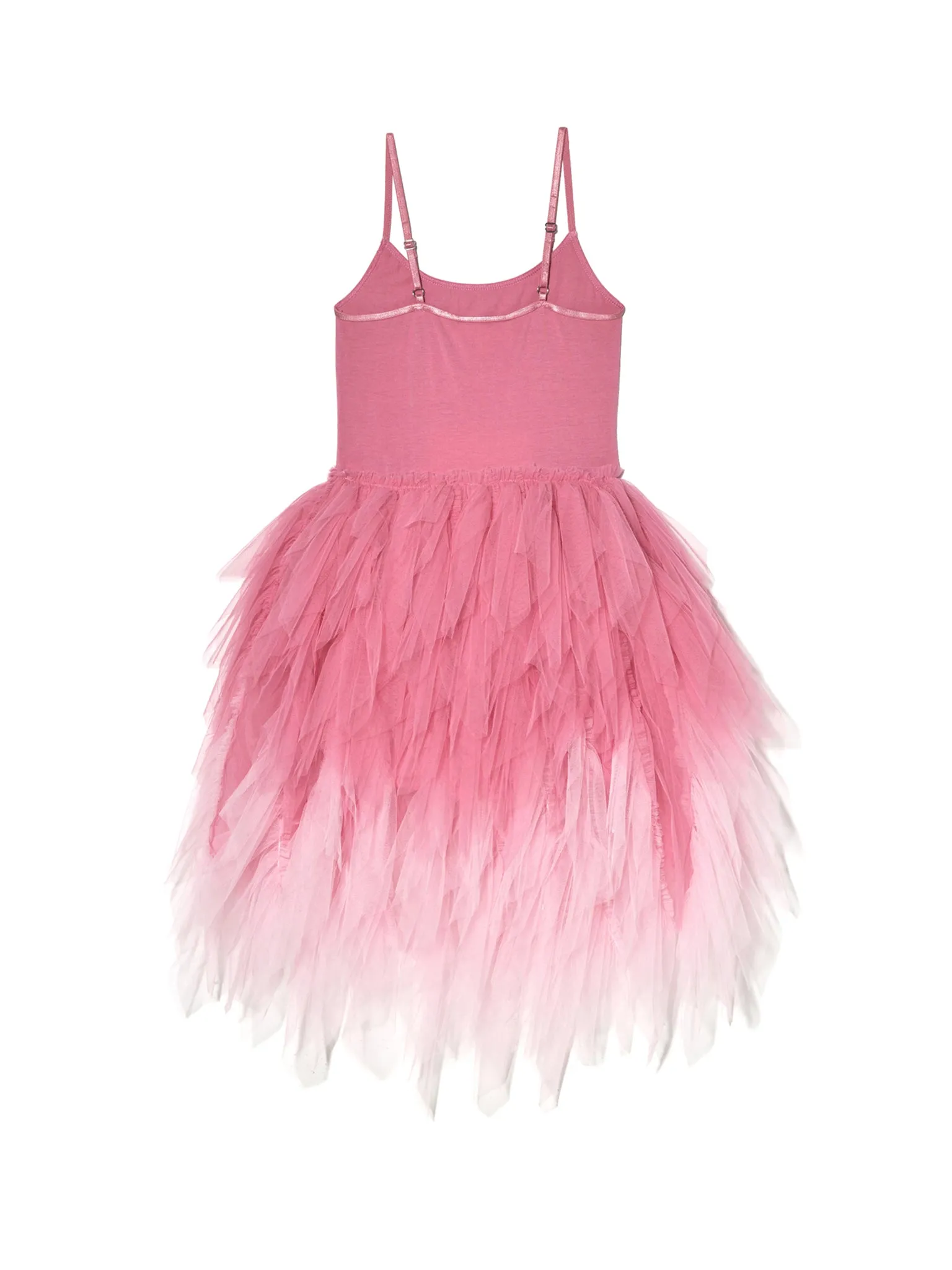 Iridessa tutu dress