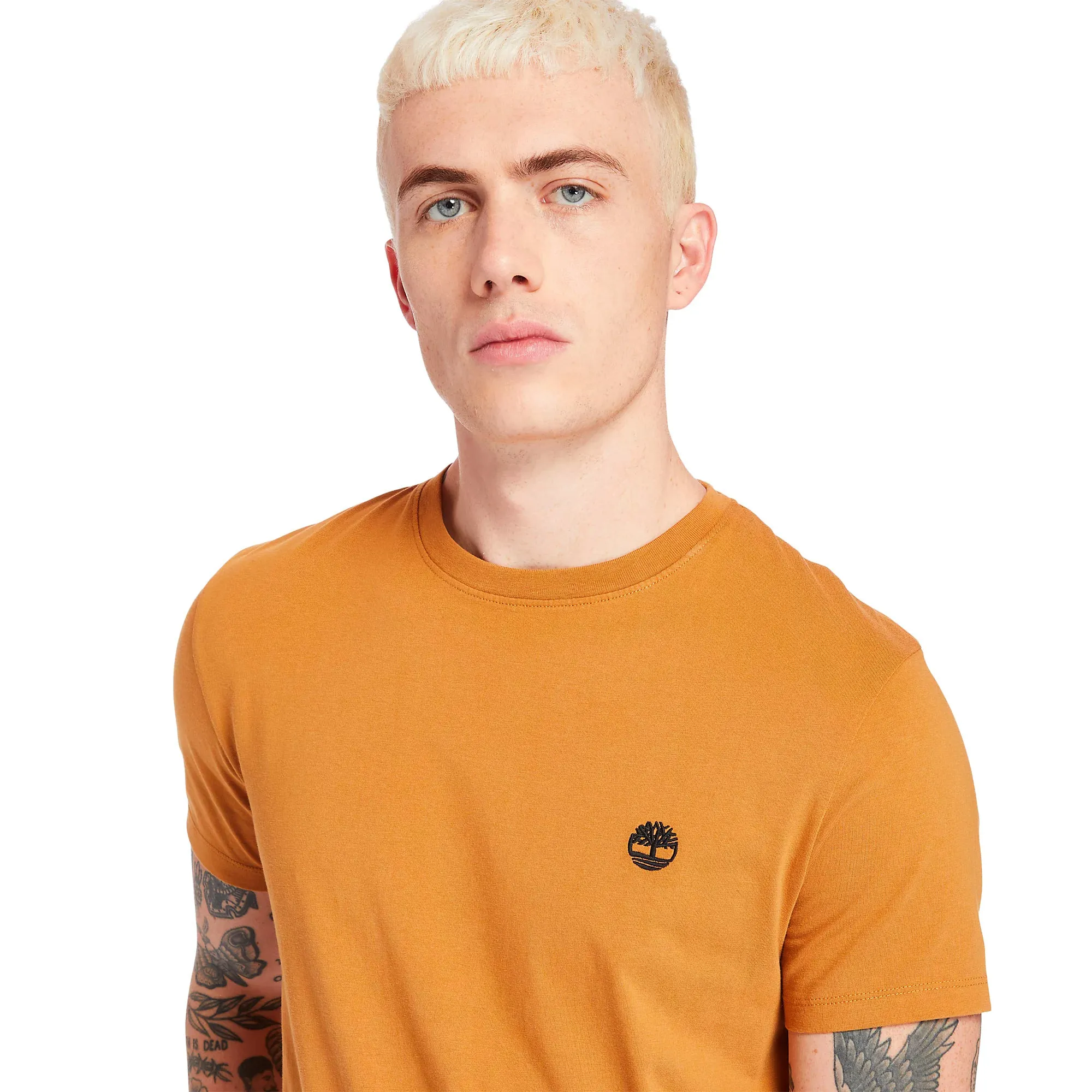 Timberland Mens Crew Neck T Shirt 'Dunstan River Jersey Crew' Slim Fit - Short Sleeved